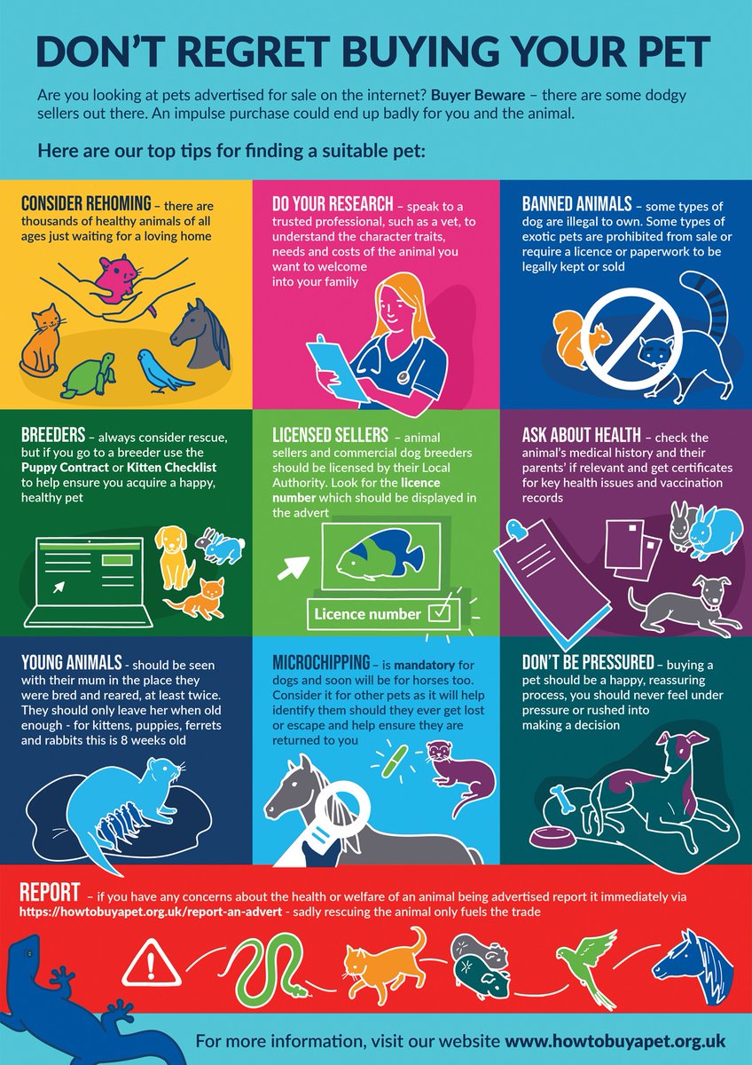 BritishVets's tweet photo. With #PetFraud apparently on the rise it's vital to do careful research & follow the steps for responsible sourcing. Getting advice from a vet & using free resources like the #PuppyContract & #KittenChecklist will help ensure you get a happy, healthy pet. https://t.co/0S2FNahFv3 https://t.co/dUO0xXab7j