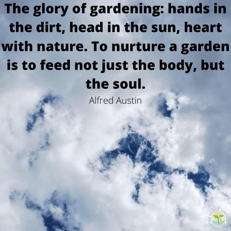 NatlGardening's tweet photo. The glory of gardening: hands in the dirt, head in the sun, heart with nature. To nurture a garden is to feed not just the body, but the soul.

#inspirationalquotes #NGA #ModivationMonday #garden #flowers #fyp #explore https://t.co/1cNDfbWYqH