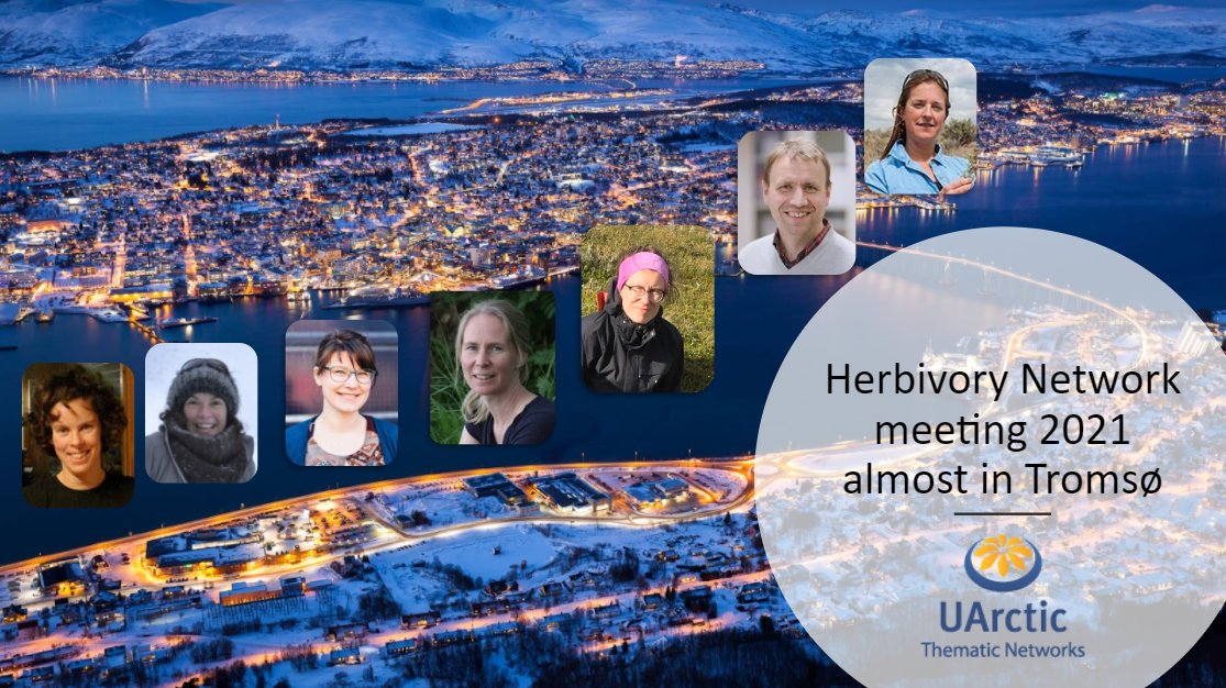 isabel c barrio (@icbarrio) on Twitter photo The <a href="/HerbivoryN/">Herbivory Network</a> meeting in "almost" Tromsø started this morning and will be going on until Wednesday! So excited to see so many old and new friends - even if only #online: bit.ly/30o1Gg9 <a href="/uarctic/">UArctic</a> <a href="/lbhi_is/">Landbúnaðarháskóli Íslands - LBHÍ</a> if interested in joining please let me know! The <a href="/HerbivoryN/">Herbivory Network</a> meeting in "almost" Tromsø started this morning and will be going on until Wednesday! So excited to see so many old and new friends - even if only #online: bit.ly/30o1Gg9 <a href="/uarctic/">UArctic</a> <a href="/lbhi_is/">Landbúnaðarháskóli Íslands - LBHÍ</a> if interested in joining please let me know!