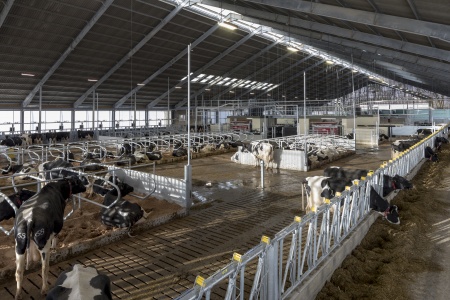 Interested in teaching the next generation of farm animal vets? Some great opportunities to join our expanding team open at the moment... nottingham.ac.uk/jobs/currentva…