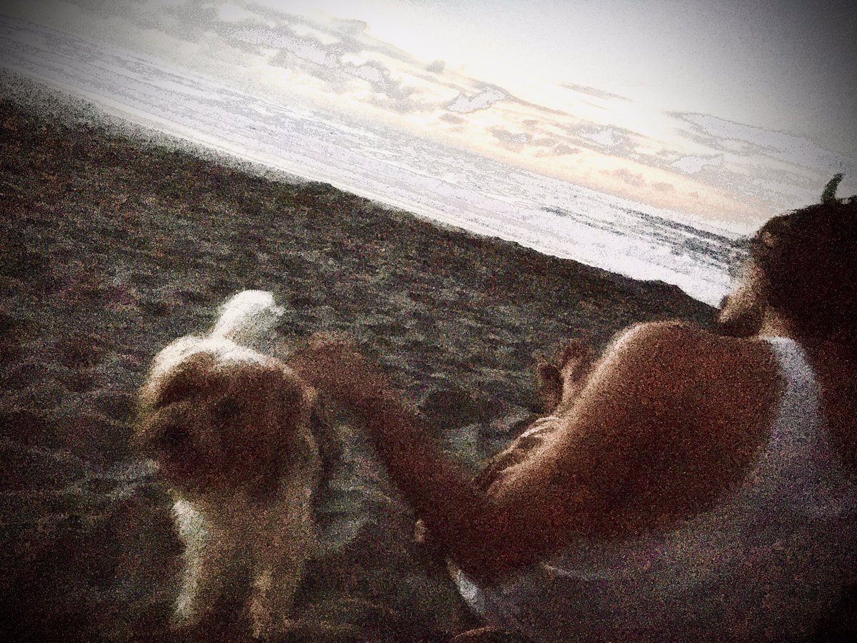 Everything’s better
w beach doggies.