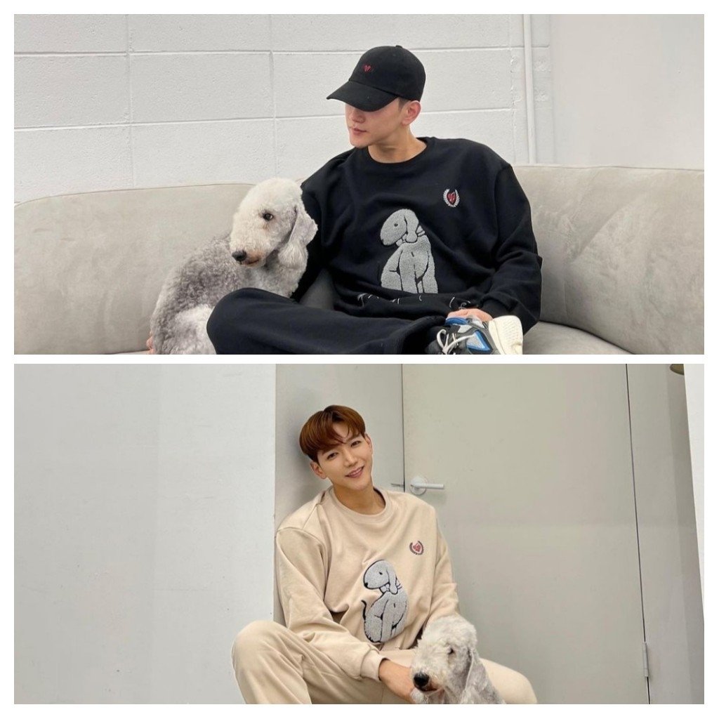 조이 Joy 2pm Jun K と Qreate コラボ企画のトレーナー販売開始しました 日本で購入できます 愛犬 デンバーのデザインとても素敵です 収益金は全額 犬保護団体へ寄付されるそう Bonz日本公式hp T Co Hkiqorbaec Jun K ジュンケイ