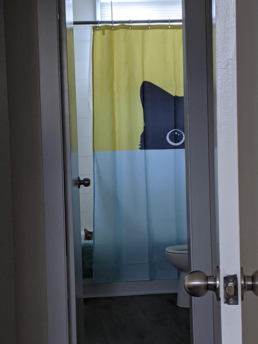 michaelscat2's tweet photo. I looked over, and my cat was doing the same thing as the curtain https://t.co/ZW32oqQOWx