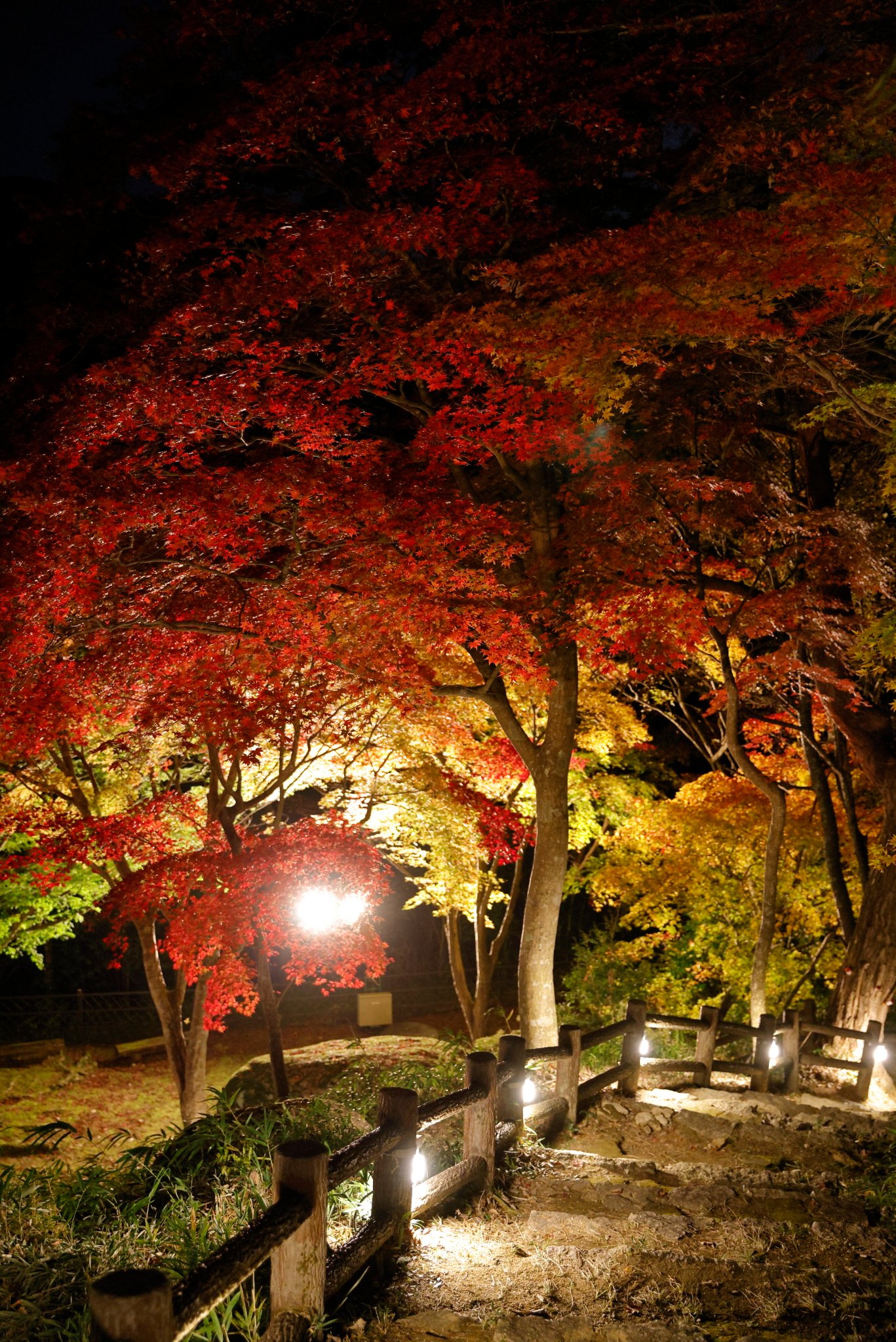 笠置山もみじ公園 Twitter Search Twitter