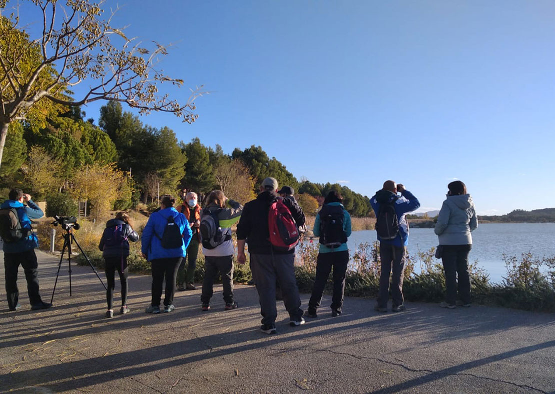 BirdingAragon's tweet photo. Ayer disfrutamos de un nuevo Mini-maratón ornitológico de #BirdingAragón en Cinco Villas
Los "Mosquiteros del cierzo" avistaron 40 aves frente a las 38 del equipo "Grus"
Con @SEO_Aragon y #ADEFO
💚 ¿Piensas en #BirdWatching?
https://t.co/oxZvRt64wE 
#Ornitología #Aragón https://t.co/H5sNJ9gqRc
