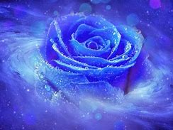 To succeed in life, people need 2 things: confidence and ignorance.