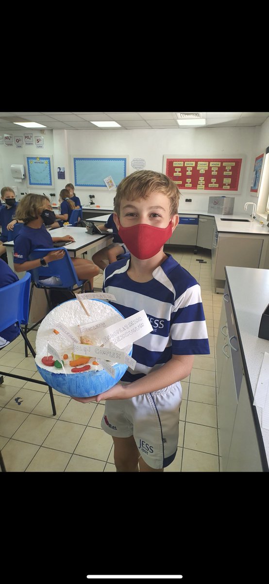 JESSScienceDept's tweet photo. Look at these fantastic cell models from Y7! So creative! #JESSBiology #JESSYr7 #JESSChallenge https://t.co/ZNh3J3jQP0