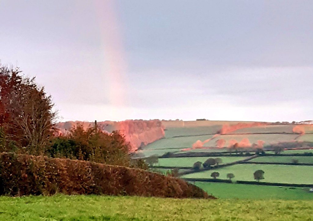 natashacarthew's tweet photo. A little hope fallen into the forest brings autumn flame to the fields this morning #ViewfromtheCabin #AmWriting #Cornwall https://t.co/9T53BPqMeX
