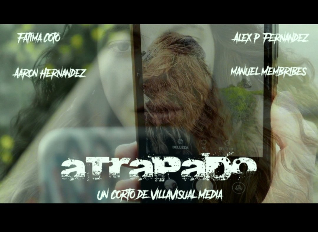 VillaVisual Media tweet media