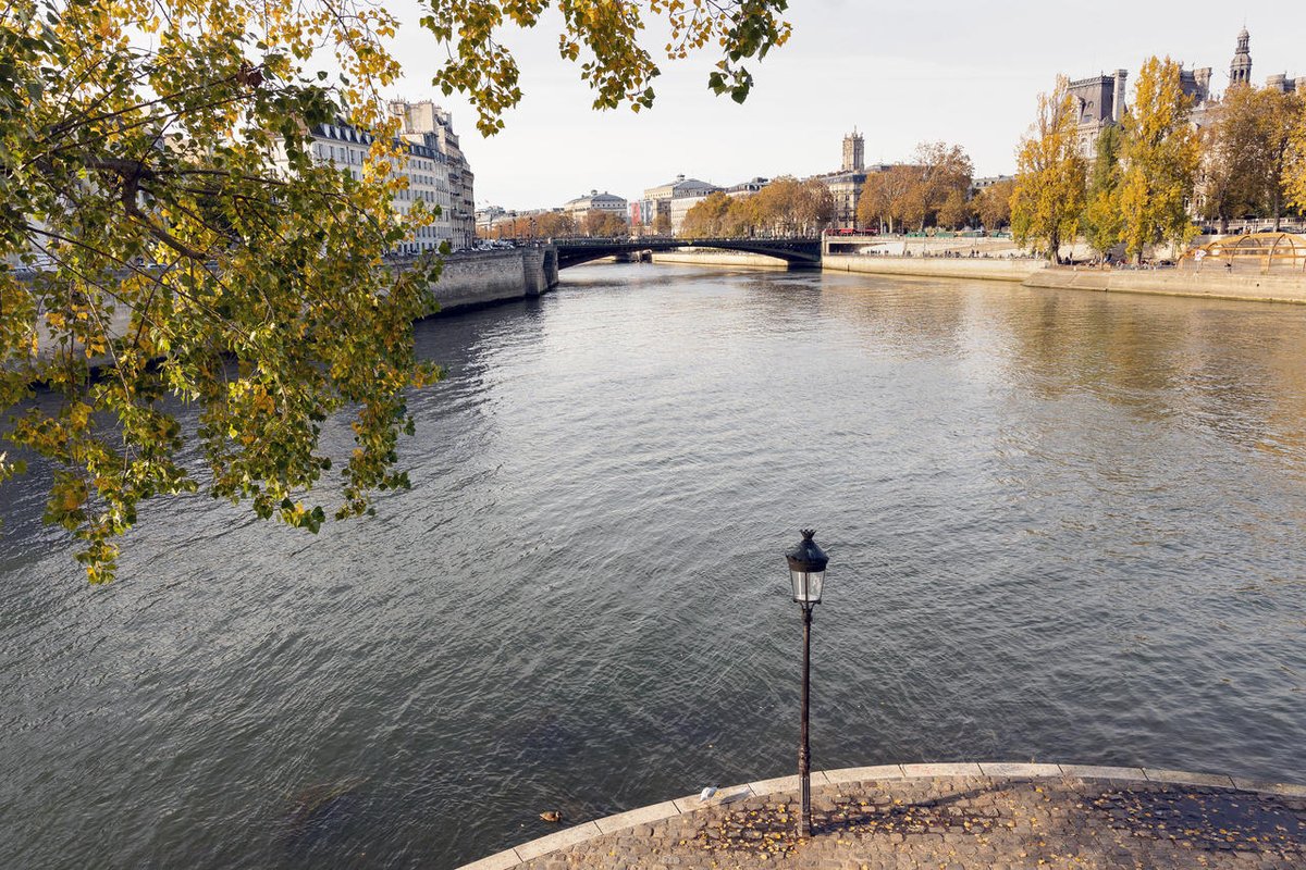 Paris tweet media