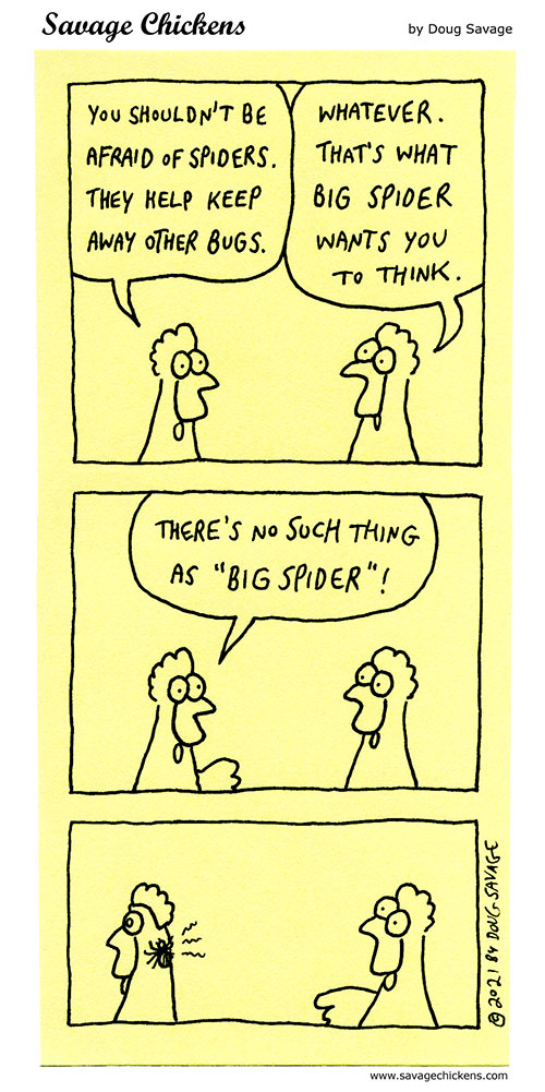 savagechickens's tweet photo. Big Spider. https://t.co/HwycwQrLYv https://t.co/iDIDYDZxEz
