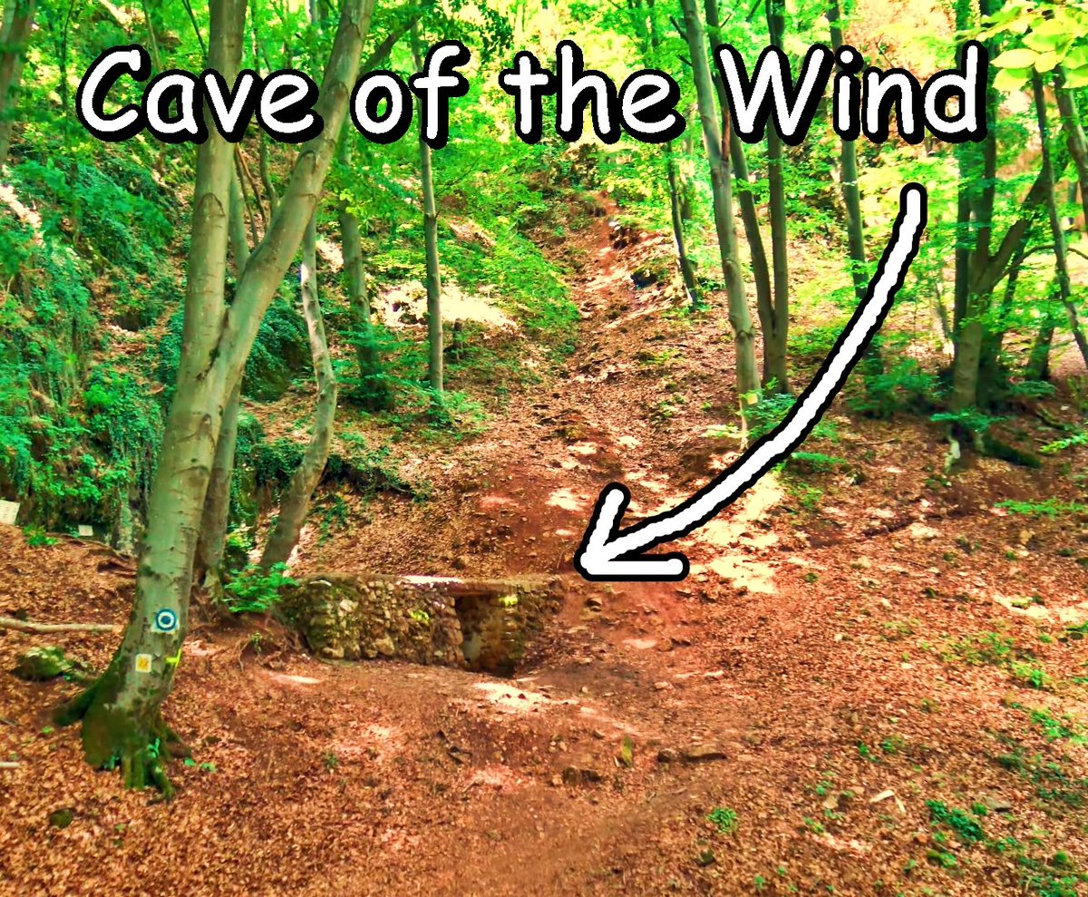 WatchRelax's tweet photo. 🔴Video with the entrance of The Cave of the Wind (Peștera Vântului), the longest #cave in #Romania 

▶️ https://t.co/jZpLv3RoKQ  

😋 #PesteraVantului #pestera #CaveofWind #WindyCave #CaveoftheWind #FartCave #Suncuius #Bihor #JuedetulBihor #MuntiiPadureaCraiului #barlangja https://t.co/bUZTeCTmsJ