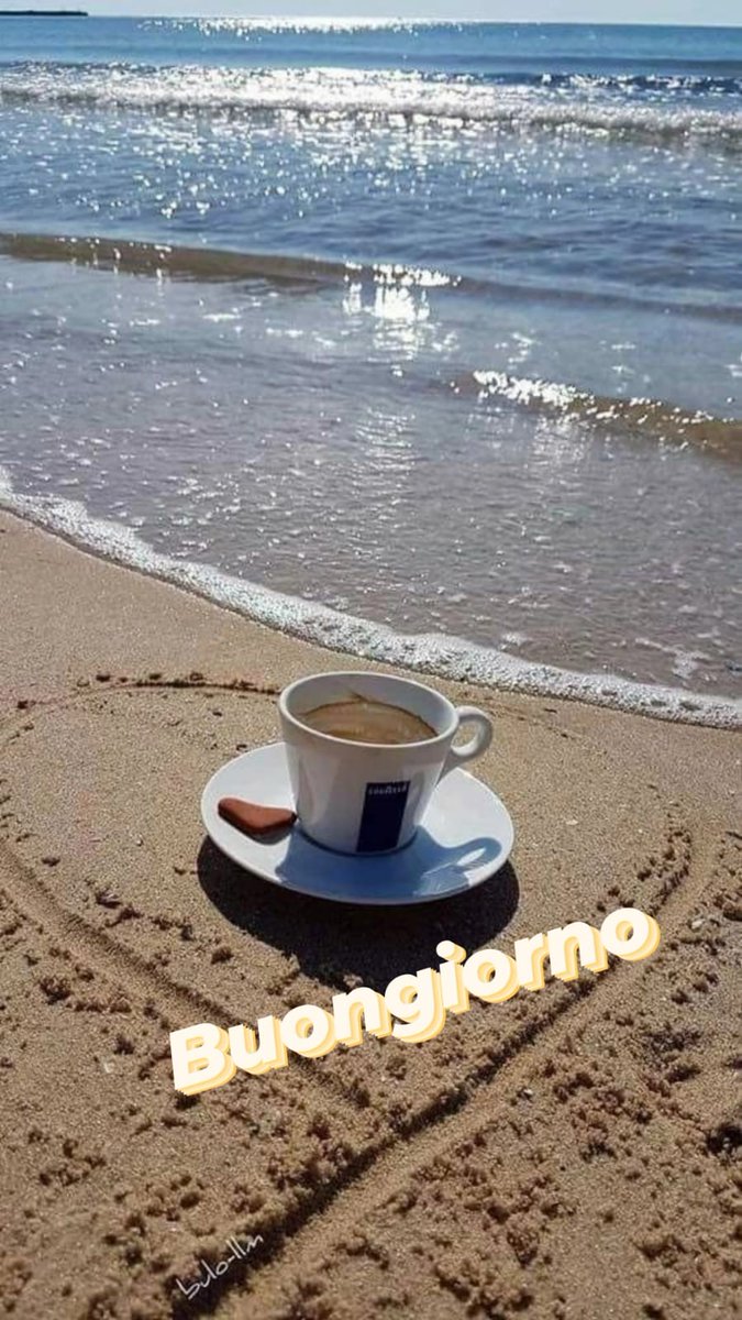 Donato Troiano tweet media