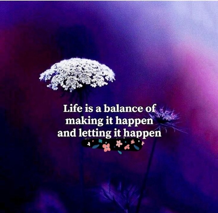 debs2707's tweet photo. First rule in life: If you never go after what you want, you'll never have it.
Keep the balance ⚘ https://t.co/33U0s9NSij