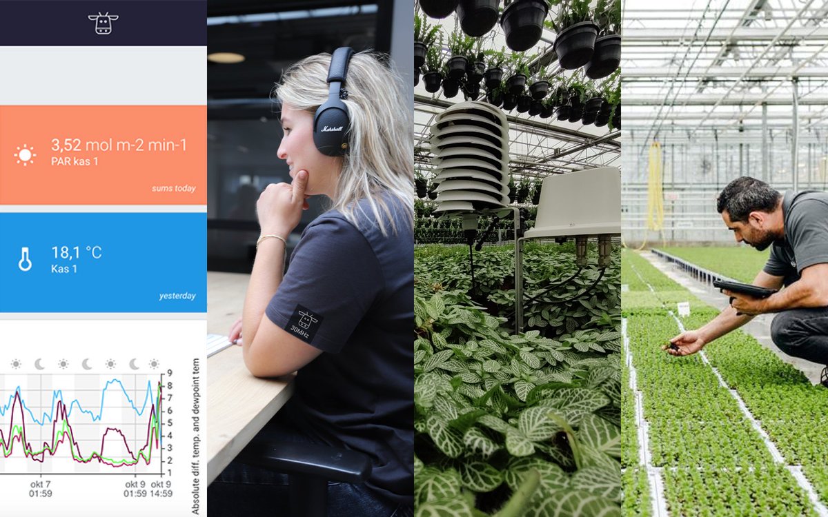 30mhz's tweet photo. As the leading data platform for the horti-cultural sector, we raised EUR 6.5 million in a second round of investment funding. The money will be used for the further growth of the company and to accelerate technological developments. https://t.co/DYkb3sFsf7 #data #horticulture https://t.co/a67B6v47CO