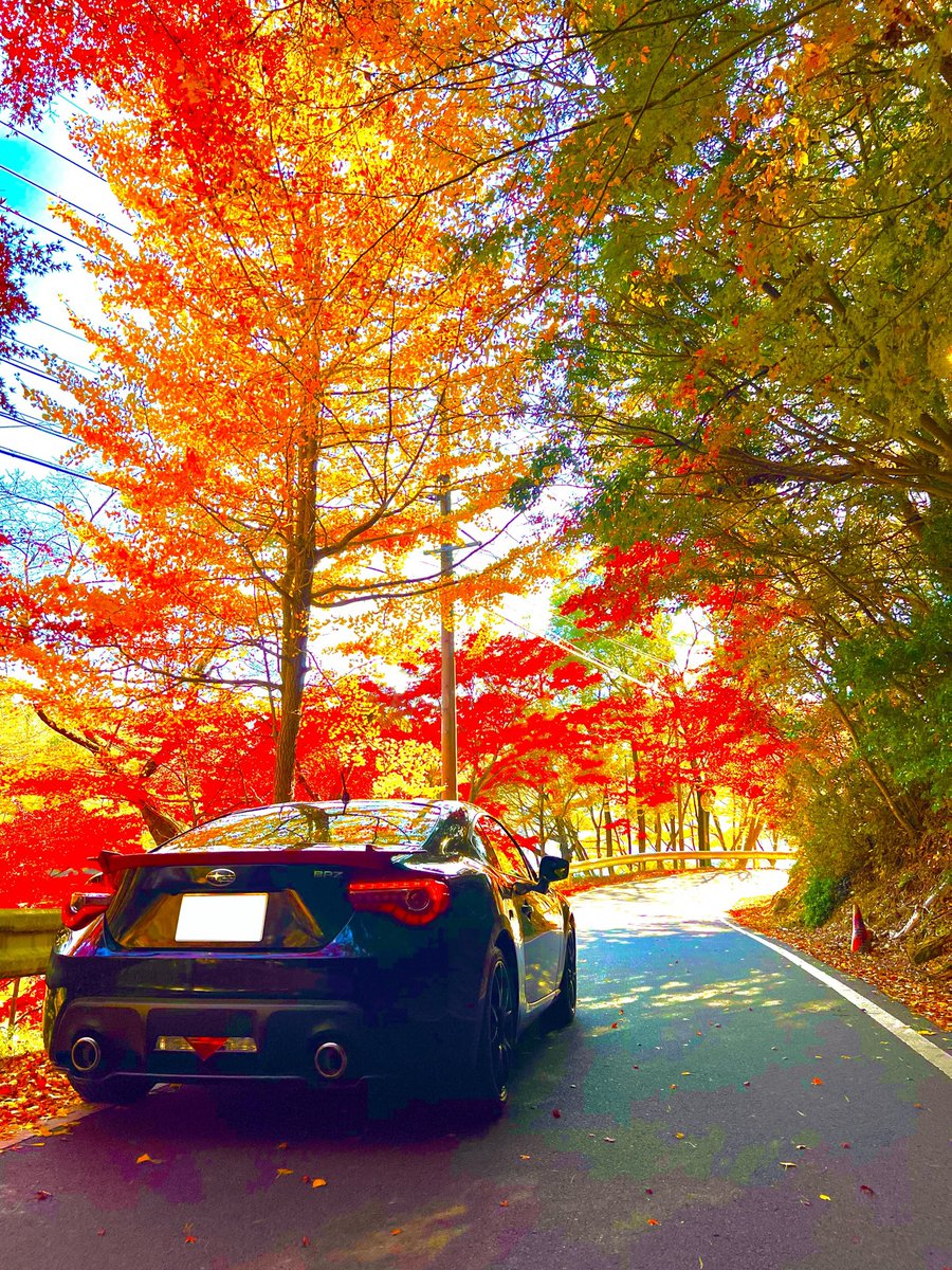 T_SHU1023's tweet photo. 納得のいく一枚を求めた結果・・・ https://t.co/dzVqzAvlO3