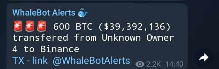 hackbone G77 tweet media