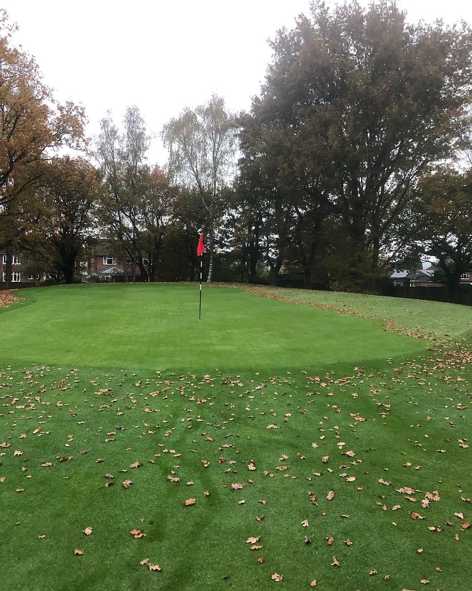 Miles_gkeeper's tweet photo. Good morning and a happy Monday!? Out switching and 🍂 leafy things are everywhere! Oh well crack on and tidy this up. Although it certain parts it does look good! #greenkeepers #golf #leafy #monday #rytec #November https://t.co/10hq6AompK