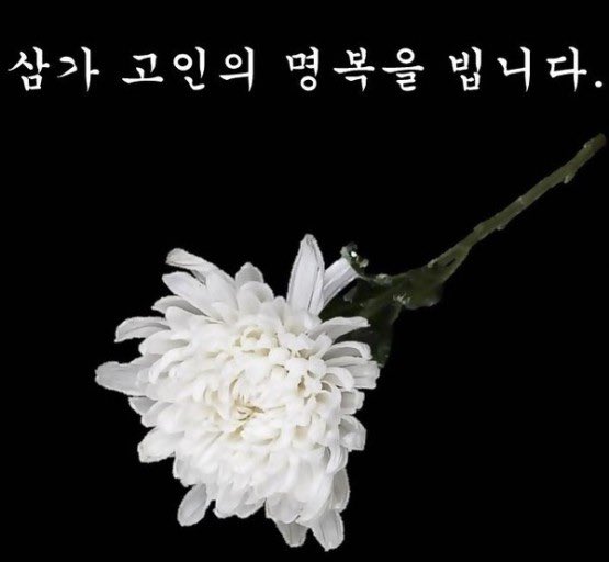 myeyears's tweet photo. @parkyoungbum @ArtAssemble @dogesoundclub 그는 진정한 락스타였습니다.
하늘 나라에서 데이비드 보위와 life on mars를 공연하고 있겠지요 
잘가요 락스타 편히 쉬어요! https://t.co/HpDusuDkhy