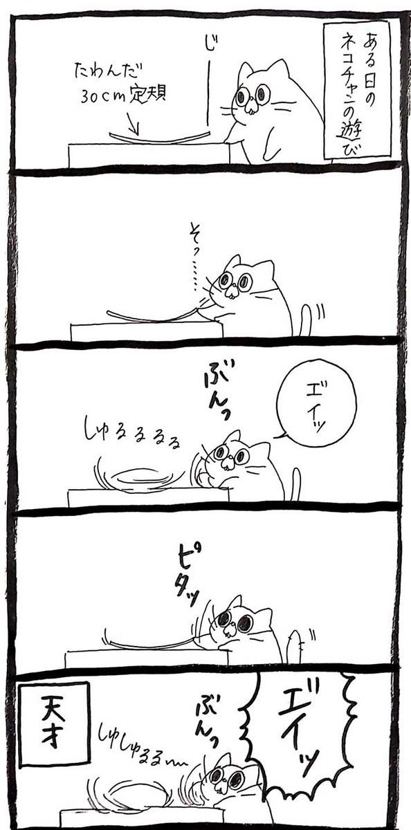 「天才」「楽しそう」 あるものを見つけた猫が…? https://t.co/kBUflxx72U @grapeejpより 