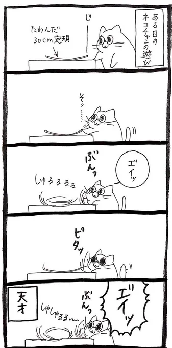 「天才」「楽しそう」 あるものを見つけた猫が…? https://t.co/kBUflxx72U @grapeejpより 