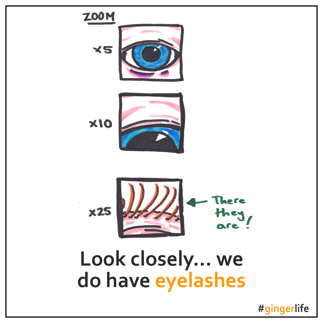 Know a ginger who'll relate to these #gingerlife cartoons? Find them on all sorts of Christmas gifts on my online shop! Any requests, give me a shout... 
redbubble.com/people/GingerN…
#redhead #ginger #gingerproblems