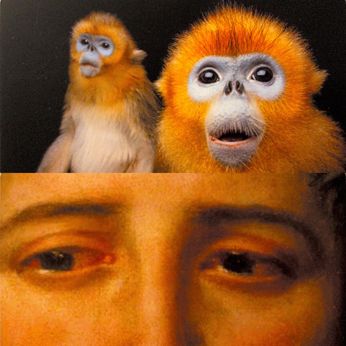 Hannah Maria Clemenz tweet media