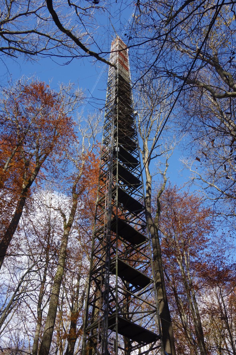 BioclimGoe's tweet image. First excursion within #DigitalForest project to our research site in #HainichNationalpark gathering with @UniLeipzig remote sensing experts. We demonstrated fieldwork activities such as #CO2 exchange measurements and #TerrestrialLaserScanning. #BioclimatologyGroup @uniGoettingen