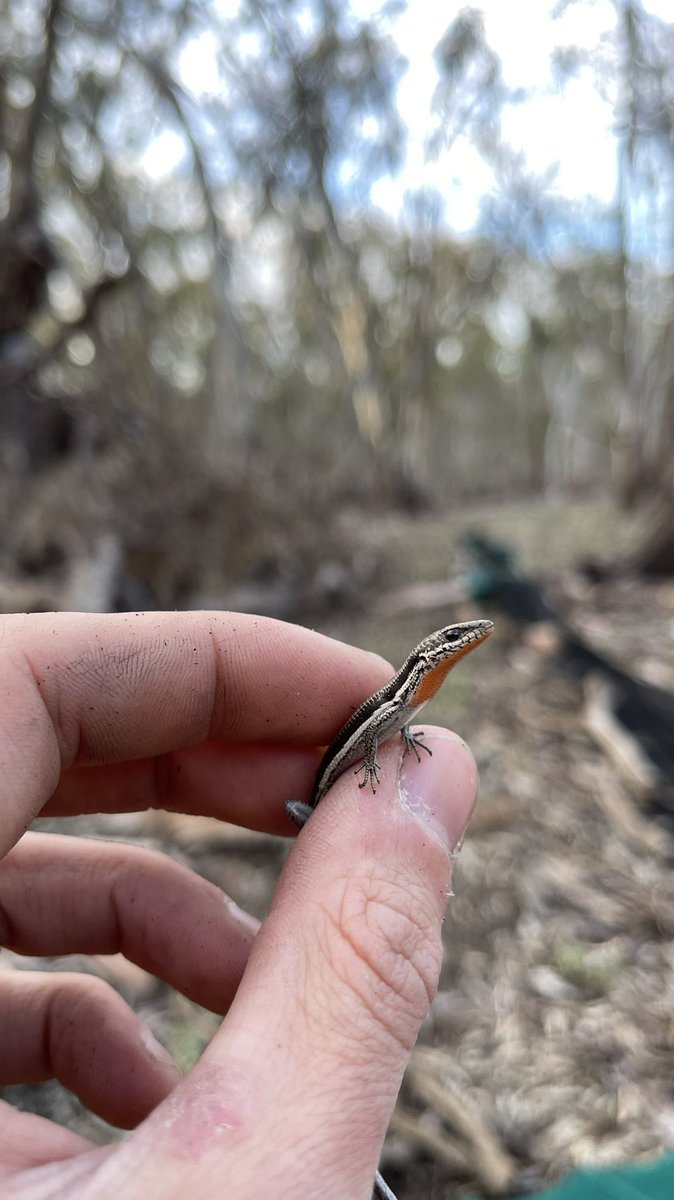 Matt Clancy tweet media