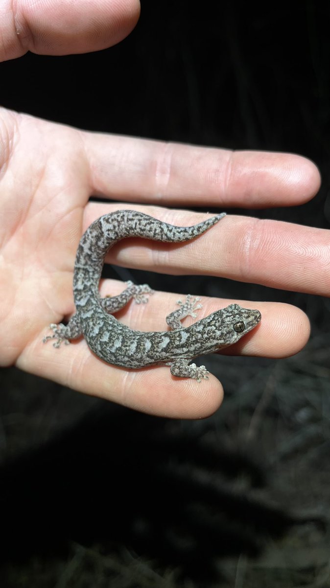 Matt Clancy tweet media