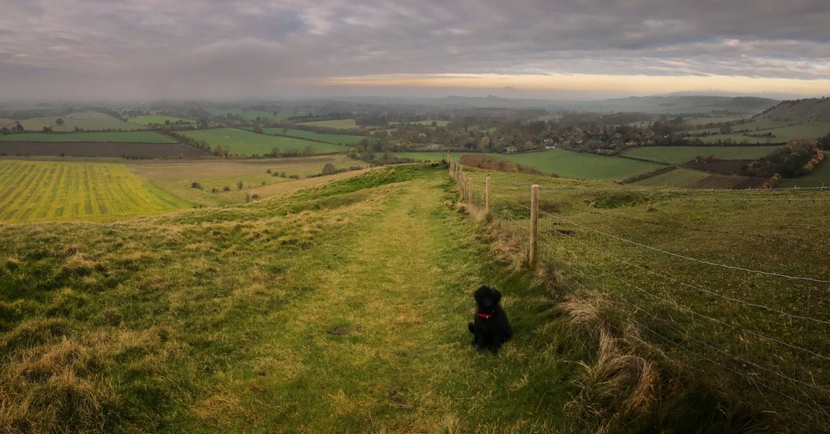 Chloë Dudding tweet media