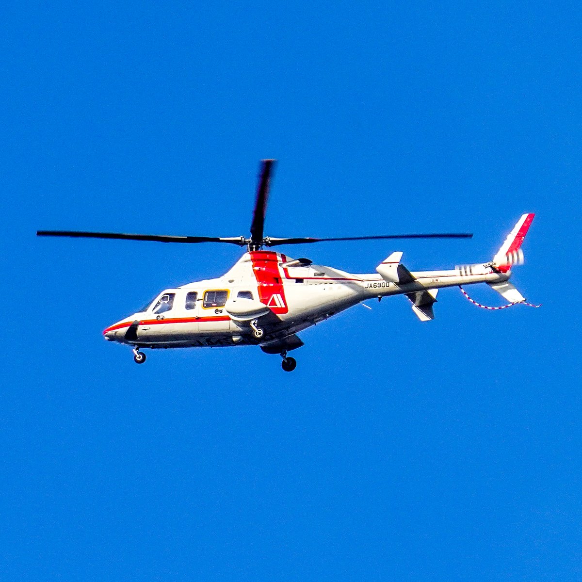 catboy1984's tweet photo. 鉄の鳥
朝日航洋目 朝日航洋科 朝日航洋属に分類される
Bell 430(*'ω'*)
このように鳥の写真が撮れないと打線する・・
#朝日航洋 #Bell430 #Iron_bird https://t.co/HGebQYohmA