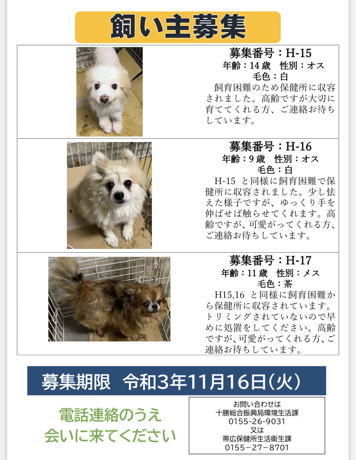 北海道 保健所 里親募集 十勝振興局さん 飼育困難でこちらの6わんにゃんが収容されています 猫さんたちは子猫さんですが 犬さんたちはシニアで最高齢が14歳です 拡散希望 北海道 保健所 里親募集 帯広 犬の里親募集 猫の里親募集 T Co