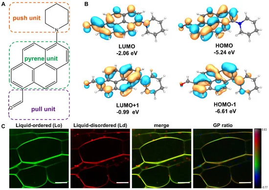 Membranes_MDPI's tweet photo. #Membranes
Plant Sterol Clustering #Correlates with Membrane #Microdomains as Revealed by Optical and Computational #Microscopy
https://t.co/NoZwEs2acj
#FLIM
#computational microscopy
#phase separation
#microdomain
#phytosterol https://t.co/zjxw1ofwDd