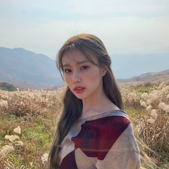 #★
             seirine fawzi solon
    not a new acc, not new to rp.
    like &amp; rt to be moots or for a
                   possible dm.