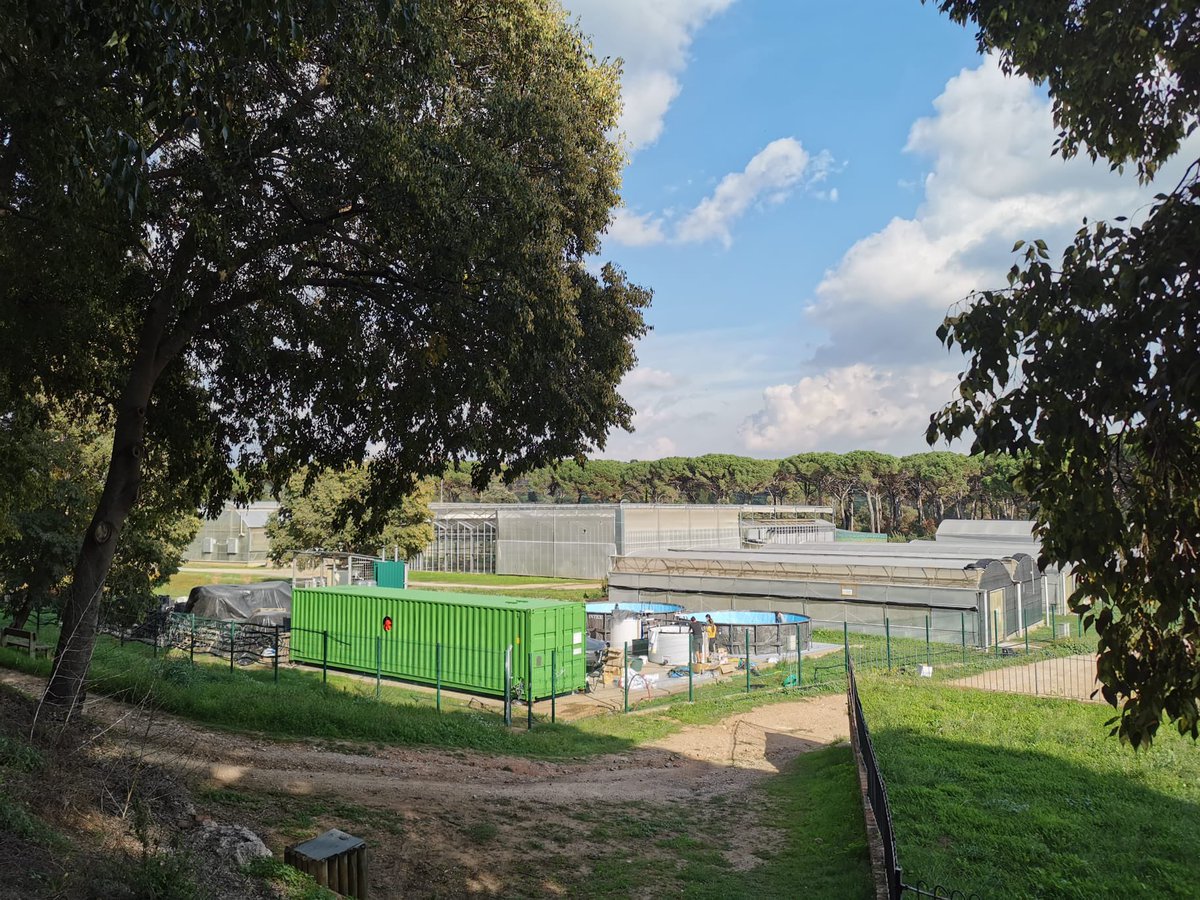 Lifespot tweet media