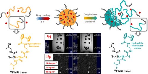 IMC_Prague's tweet photo. #NewPaper | Thermo- and ROS-Responsive Self-Assembled Polymer Nanoparticle Tracers for 19F MRI Theranostics➡️https://t.co/QkZIkJuItO
#IMC_Prague #BIOCEV #CharlesUniversity https://t.co/D2pU941ZnZ