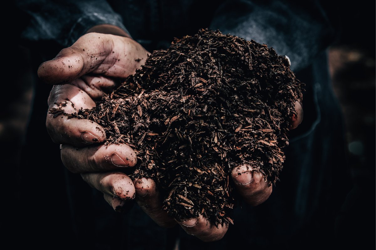 FarmPlusNL's tweet photo. Met trots kunnen we melden dat drie adviseurs van CZAV zich hebben aangesloten als bodem- en watercoaches. De focus van het project ligt op een bodem waar gewassen goed willen groeien en die zoet water langer vasthoudt. Lees hier meer 👉 https://t.co/C1RGt1jqJj https://t.co/GCOsHps4kW