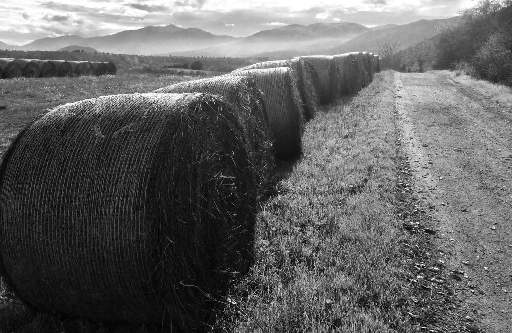 Abruzzotours's tweet photo. Stunning scenery; hayrolls along our cycle route from Popoli to Vittorito.
#vittorito #Popoli #cycling #countryside #Abruzzo #hayrolls #visitabruzzo #Italy #blackandwhitephotography https://t.co/MYcMTi1pjN