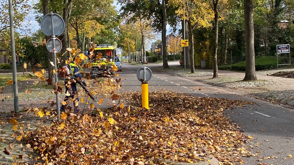 Bladkorven en bladvegen week 46

sittard-geleen.nieuws.nl/nieuws/2021111…