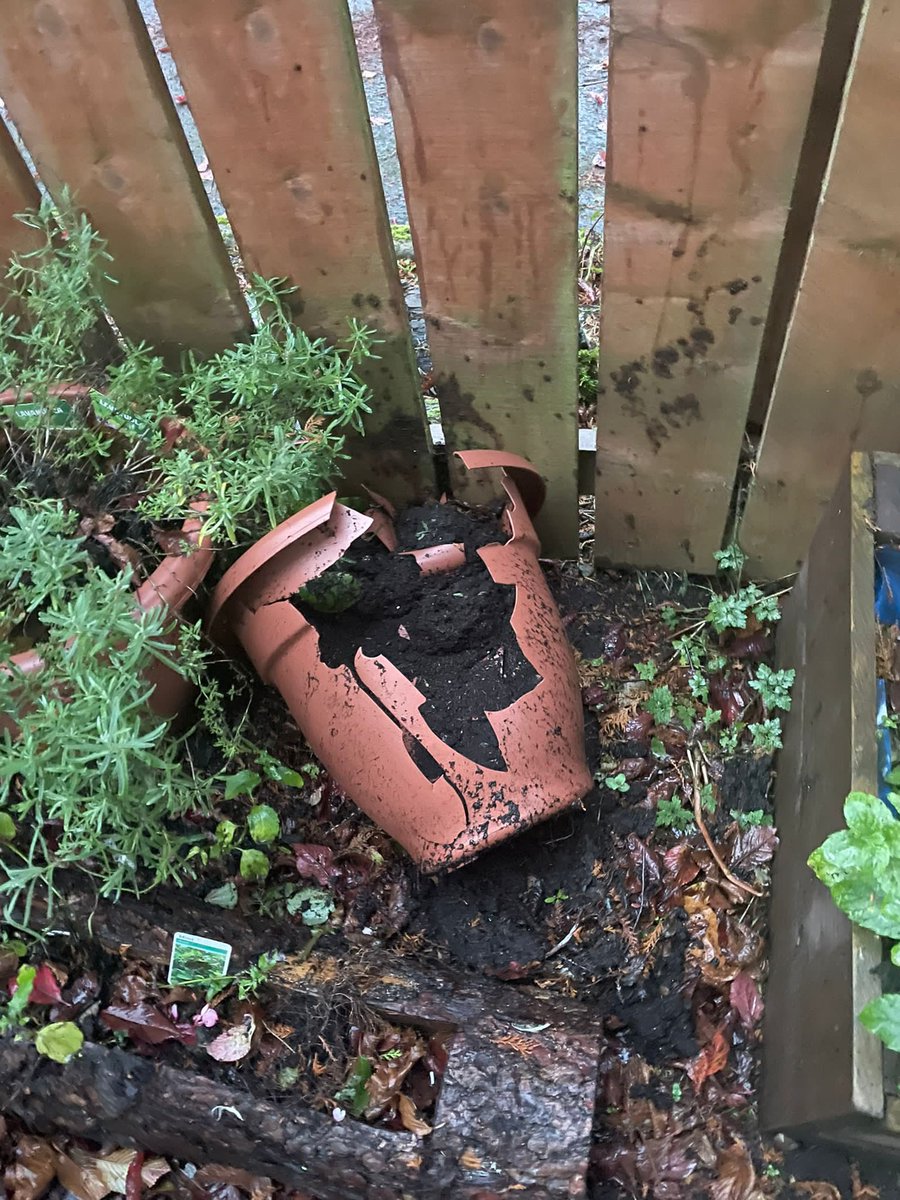 gavinburnps's tweet photo. HELP us catch the mindless vandals, whose aim is to destroy our much loved outdoor spaces😢 https://t.co/uuopoRwuCL