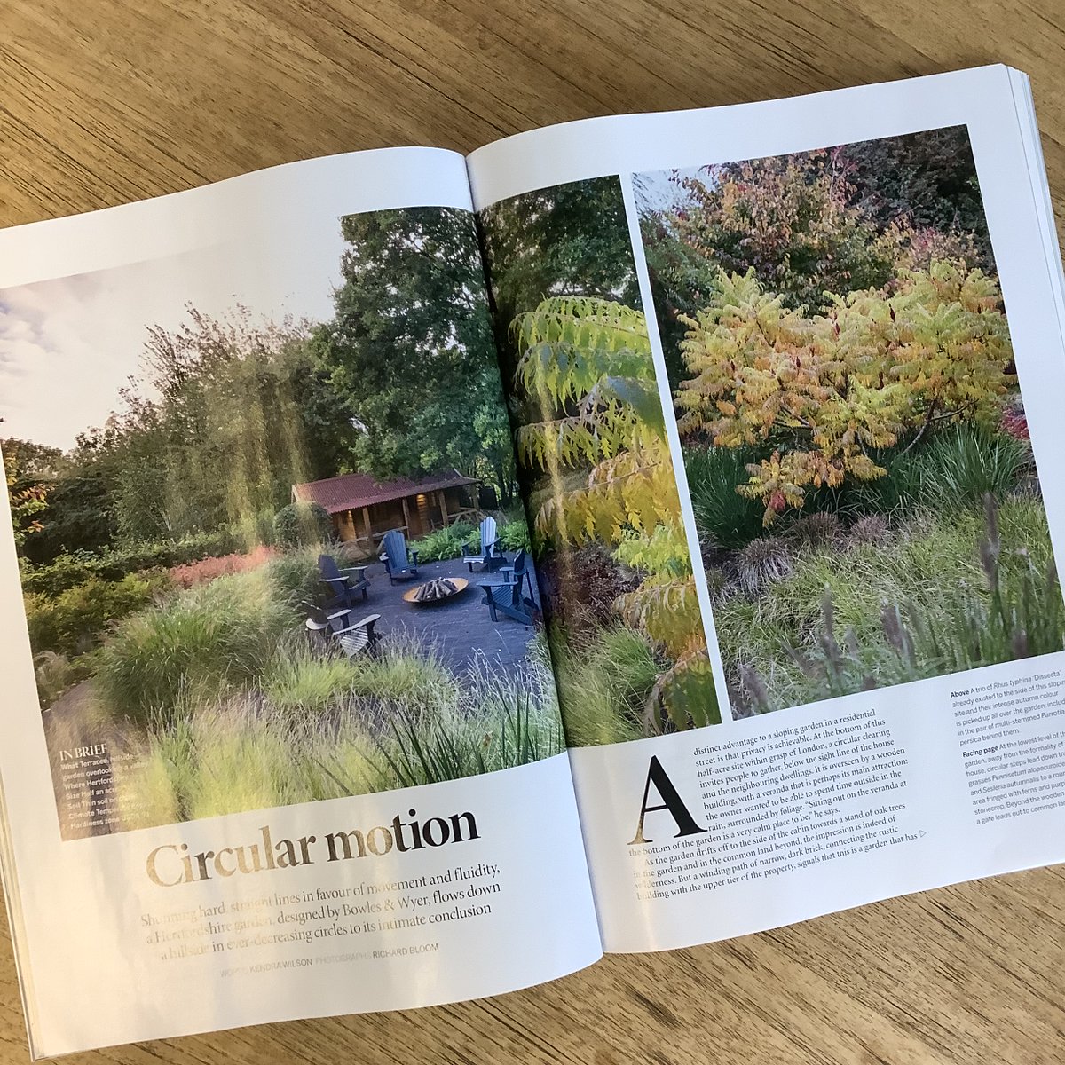BowlesWyer's tweet photo. We're absolutely delighted that one of our design and build projects has been featured in @GdnsIllustrated this month - looking stunning in Autumn colour!

Photos by @RichardBloom_ 
#gardendesign #garden #design #countrygarden #planting #horticulture #gardeninspiration https://t.co/nuuvAId16o