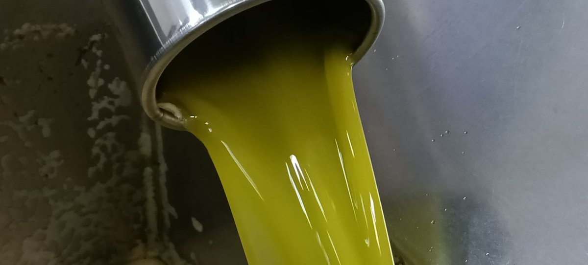 radio_vitoria's tweet photo. 🫒 Los trujales de #Oion #Moreda y #Lantziego prevén molturar 800.000 kilos de olivas de las que se obtendrán más de 160.000 litros de aceite de oliva virgen extra #AOVE #APRORA @Rioja_Alavesa
🎙️ #LurBizia @radioeuskadi y #RadioVitoria ▶️
https://t.co/rfpDlaYMcb https://t.co/eHMqH1Lj0h