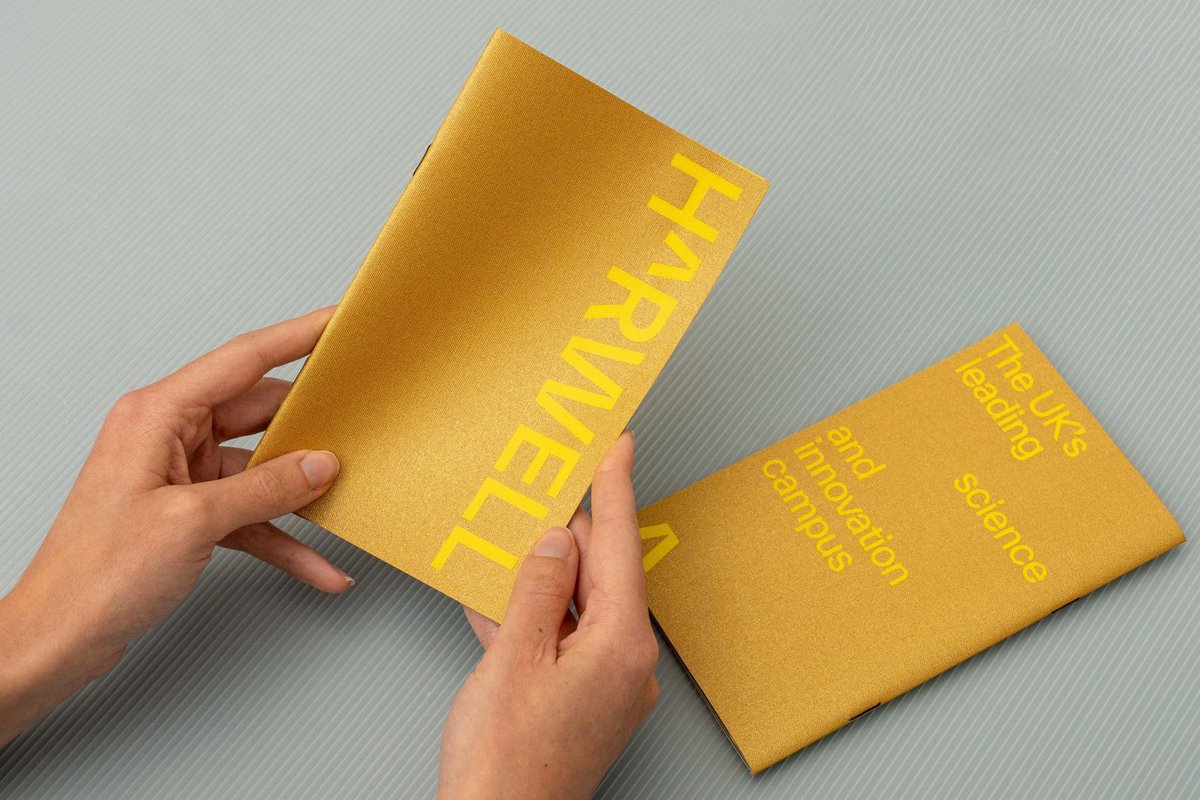 visuelle tweet media