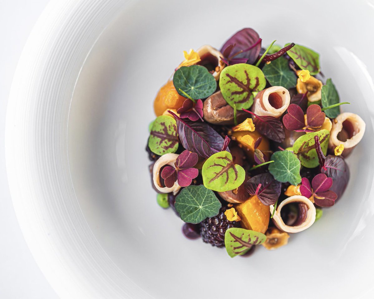 GordonRamsay's tweet image. A look at some of the beautiful new dishes at Restaurant Gordon Ramsay !! @GordonRamsayGRR