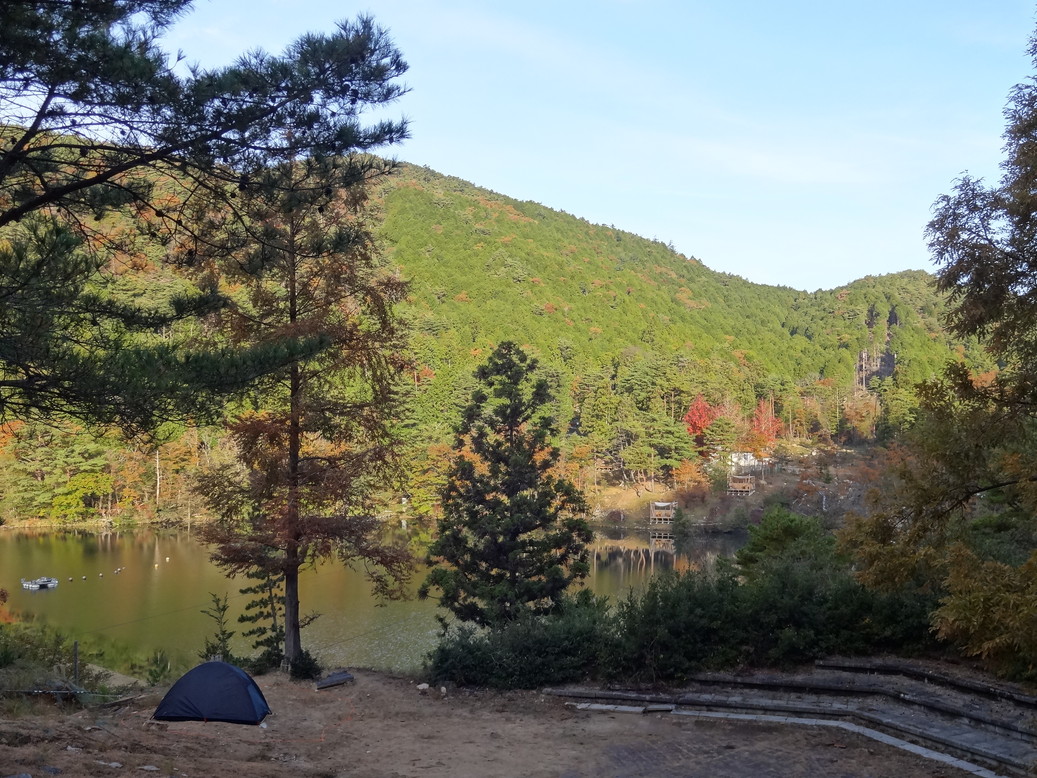 camp.tomG tweet media