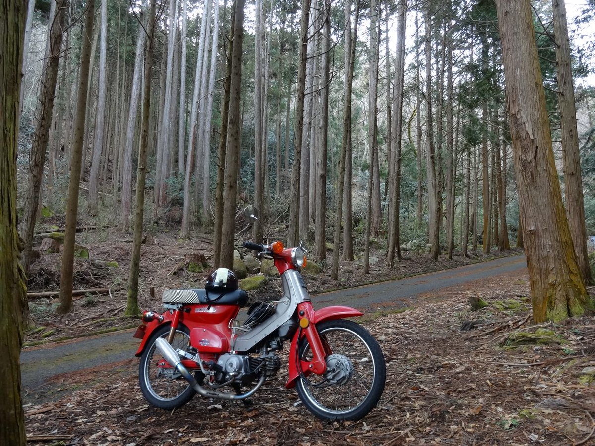 camp.tomG tweet media