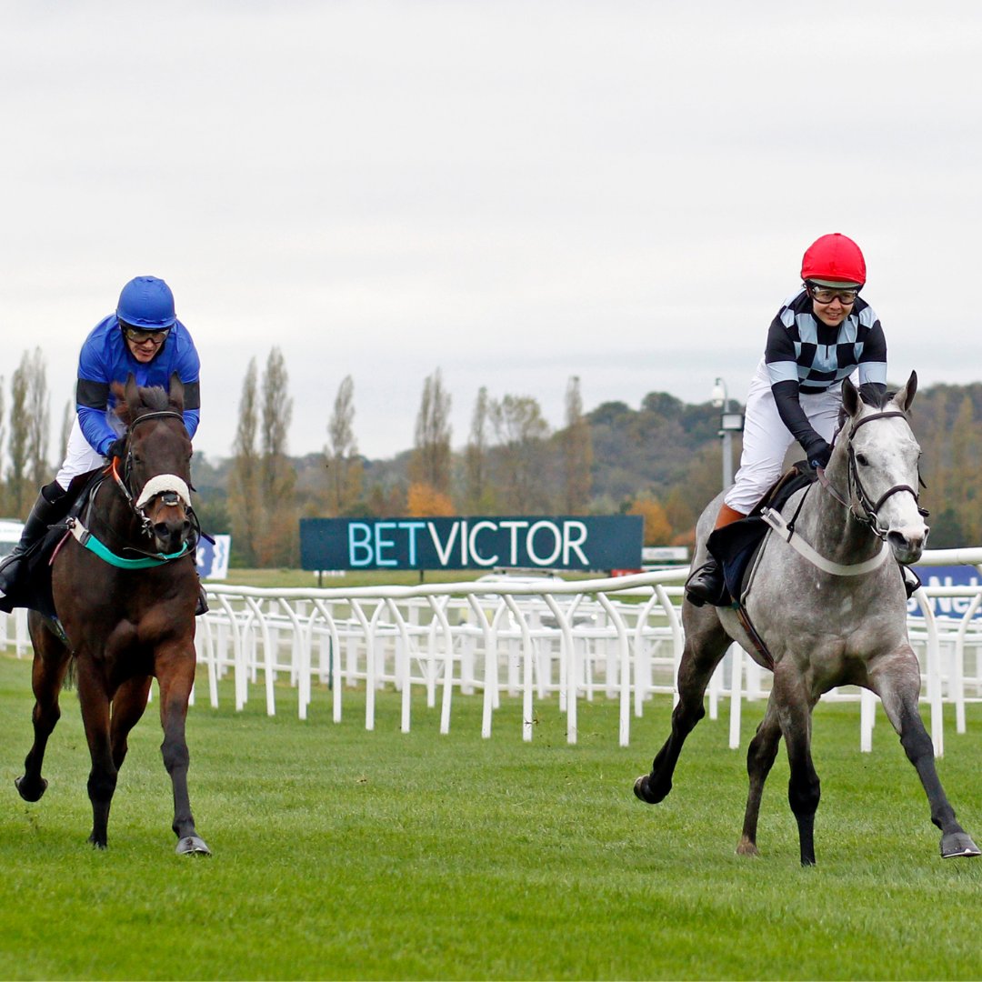 NewburyRacing's tweet photo. Only 1 month remains until the @BetVictor Christmas Raceday. It is the perfect opportunity to enjoy corporate hospitality or a mid-week meet with friends and family - tickets are live on our website now! ⛄

https://t.co/taQyWI05wi https://t.co/P3OaKnCttL