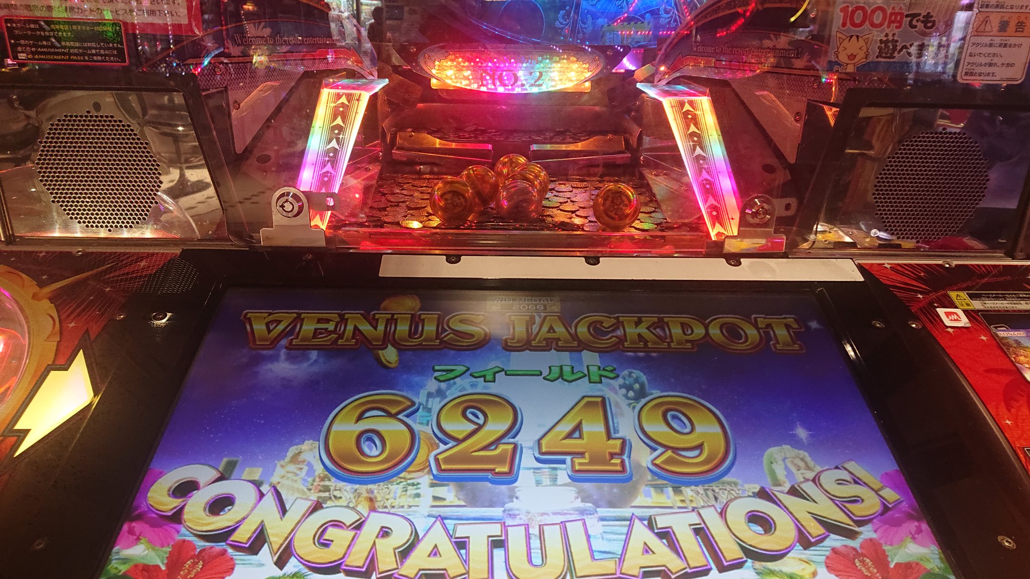 メダルゲーム ヴィーナスファウンテン 配当一式