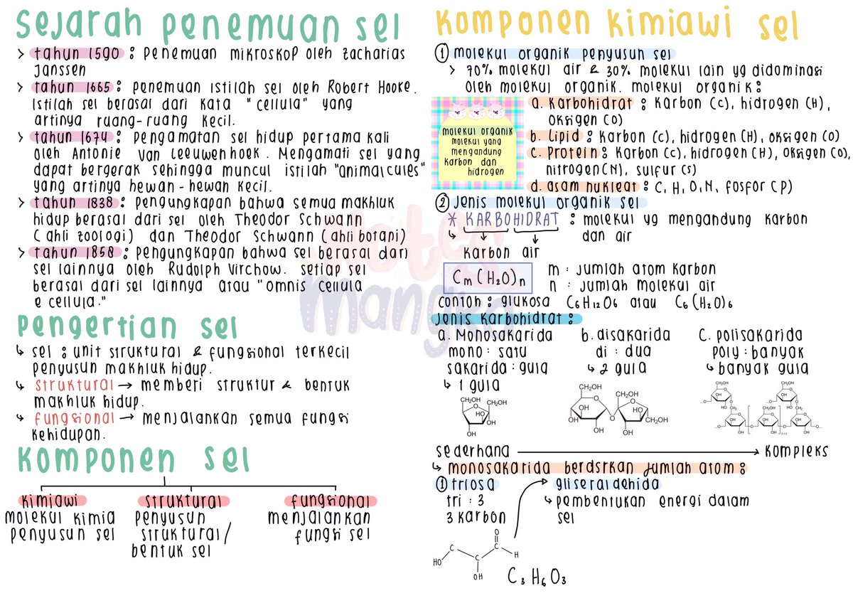 notesmangka's tweet photo. [Catatan by Aya]

Catatan Biologi Kelas 11
📚Materi sel

Sc : ruangguru
Link gdrive : https://t.co/d7tQWEesPP

Semoga bermanfaat bestie<3 https://t.co/BcDaufBwlo